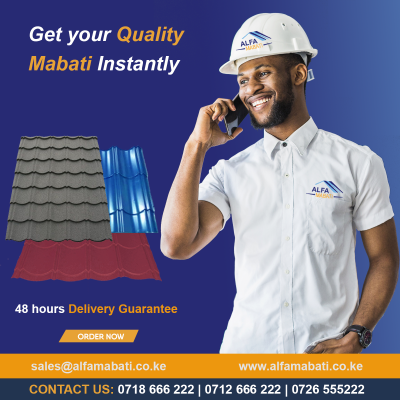 Roofing53a